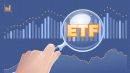 الصناديق المتداولة في البورصة (ETFs) التي تراقبها تغذي فيروسات التاجية تقلبات السوق البرية 