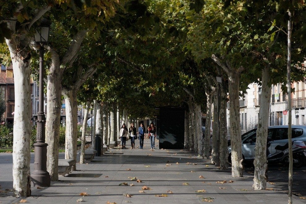 شوارع Alcalá de Henares